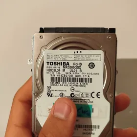 300 Gb žostkiy disk satlyk