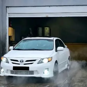 Moýka işgär gerek