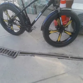 patca  tekerli  tigir