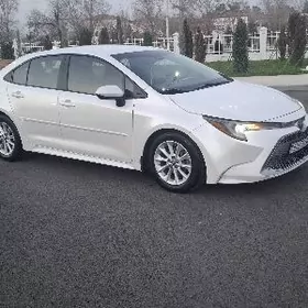 Toyota Corolla 2020