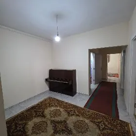 Buzmeyin gress Taze jay 2kom