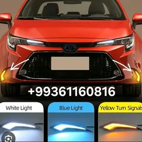 KAROLLA TUMANI 2019.2025