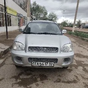 Hyundai Santa Fe 2002