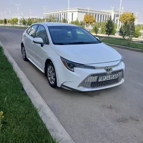 öz masinimda talip okuwci