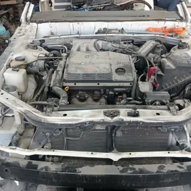 duty awalon mator karopga