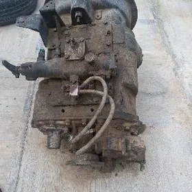 karopga kakmak 9 skors