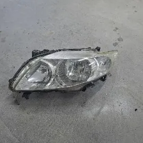 Karola fara 2010 haliji