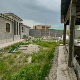 Бизмейин Новый Ахал