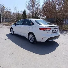 Toyota Corolla 2022