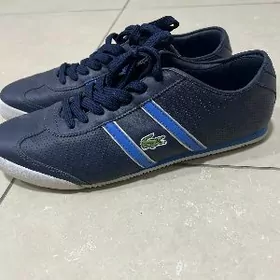 krasowka красовка