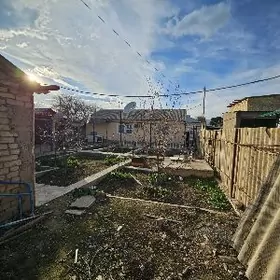 SATLYK ANEW PLAN JAÝ