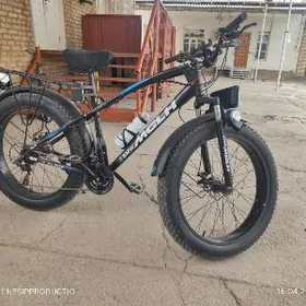 Welsopet ( Tigir) B.M.W