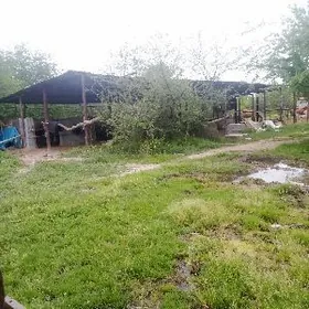 Ýatak yer we bag yer