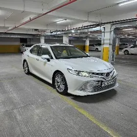 Toyota Camry 2019