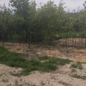 gokdepe kelejar satlyk mellek