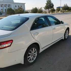 Okuz kelle disga balon 16xle