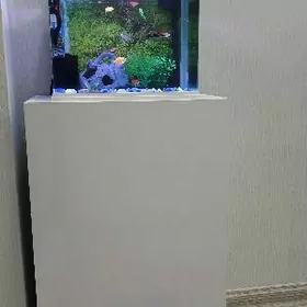 akwarium zawodskoy аквариум