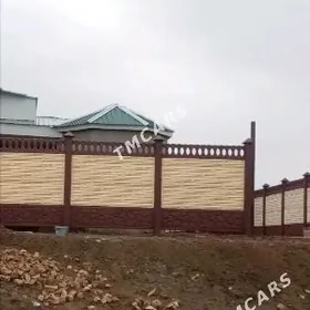 biton zabor hayat