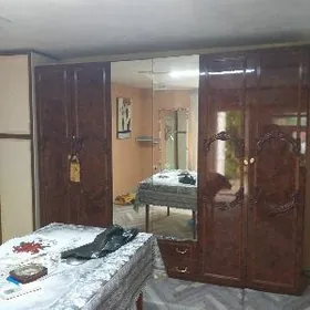 шфонер şfoner