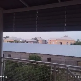 arenda seh sakarçäge