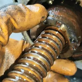 Genes stingir  Rolwov tokly