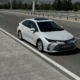 Toyota Corolla 2024