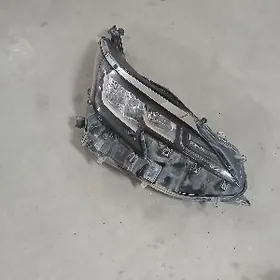 сиенна фара 2021.