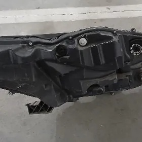 сиенна фара 2021.