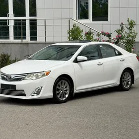 Toyota Camry 2013
