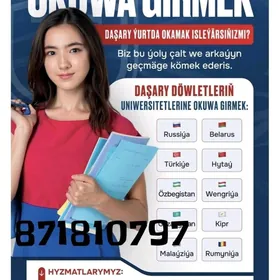 Обучение, медицинский туризм wiza виза