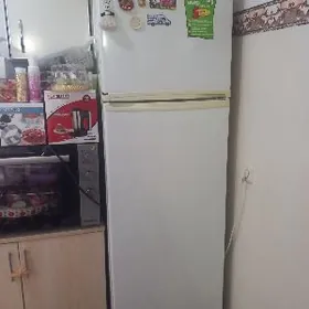 Haladinlik sowadyjy marazilnik