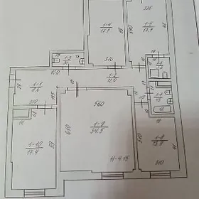 Gogol poluelitka 4 kom arzan