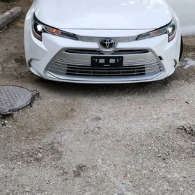 Toyota Corolla 2023