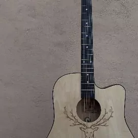 BANSID ELEKTRO AKUSTIK GITARA