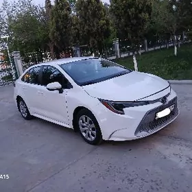 Toyota Corolla 2022