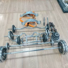 штанги блины скамейка стул