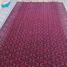 palas gadym onysyk bolar