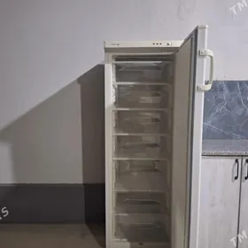 Marazilnik Haladinlik