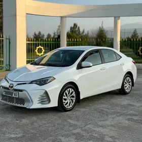 Toyota Corolla 2019