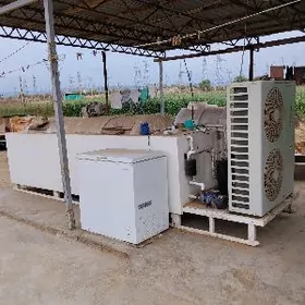 ohladitel (suyt sowadyjy)