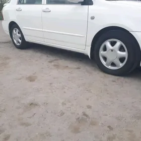 Opel arginal 15 R 4 deşik