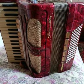 Аккордеон Akkordeon