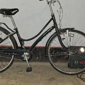 tigir yaposka Birişton