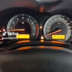 Carolla haliji pribor