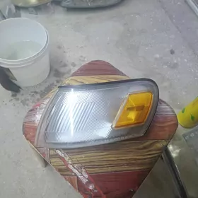 Lisicka pawarotnik çep morda