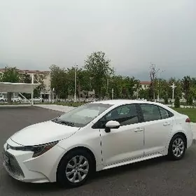 Toyota Corolla 2020