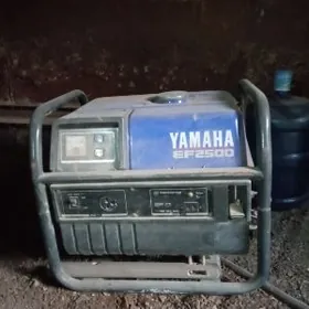 Dwişok tok onduryar