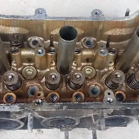 Galofka 3.5 okuz kele