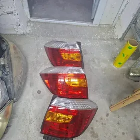 Haylandr 08-10 yzky çyra morda