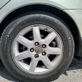 duty avolon diska teker